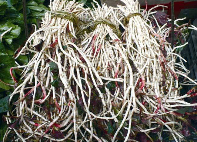 深究鱼腥草的功效 鱼腥草还能这样吃