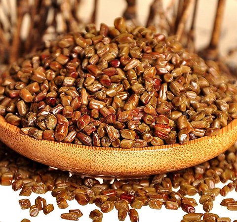 决明子的作用有哪些 揭决明子的适用人群