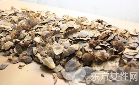 穿山甲鳞片的作用 食用方法与禁忌
