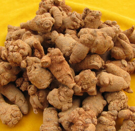 三七的功效 三七的禁忌与养生食疗方