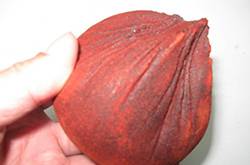 血竭的功效与作用及食用方法大全