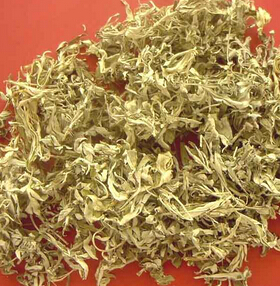 艾叶的功效与作用 巧用艾叶调理女性气血