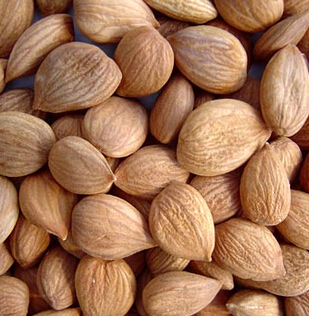 祛除痘印的食疗方 桃仁陈皮饮消除黑色素