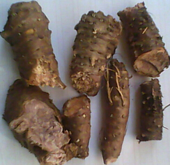 红景天的功效与作用　红景天的吃法