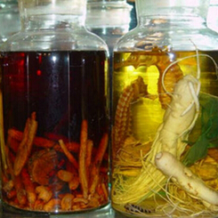 肉苁蓉怎么吃 肉苁蓉泡酒配方