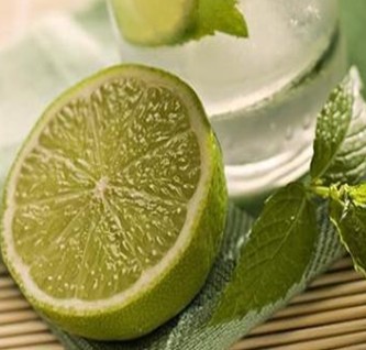 薄荷叶的功效与作用 柠檬薄荷蜜美容减肥