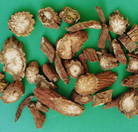 丹参的功效与作用 丹参粉美容养生的功效