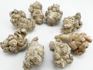 三七的最佳拍挡 白芨三七止血作用效果好