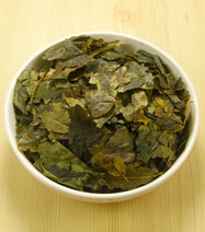 毛冬青的功效与作用 毛冬青片的主治功能