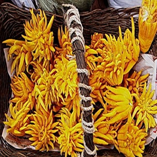 佛手的功效与作用 舒肝理气和胃止痛