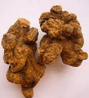 白术的功效与作用 白术与炒白术的区别