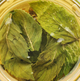 薄荷的功效 薄荷叶的饮用宜忌