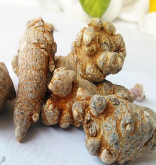 三七的功效与作用 三七增强免疫功能