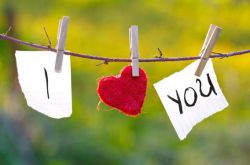 艾草的功效与作用 女性吃艾草的好处