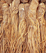 当归的功效与作用 及当归的食用方法