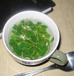 薄荷叶的功效与作用 薄荷防治各种疾病