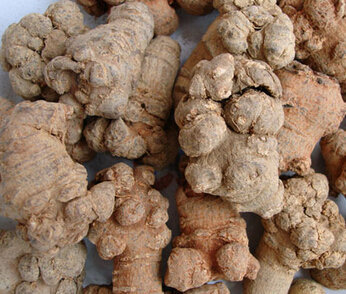 三七粉的功效与作用 美容养颜祛黑斑