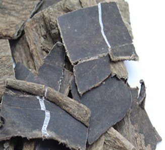 杜仲茶的作用与功效 安神养眠