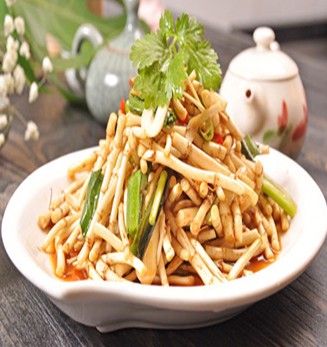 鱼腥草的作用与功效 热毒疮疡