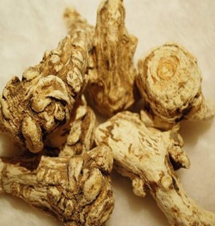 当归粉的功效 坚持吃当归粉对眼睛有益