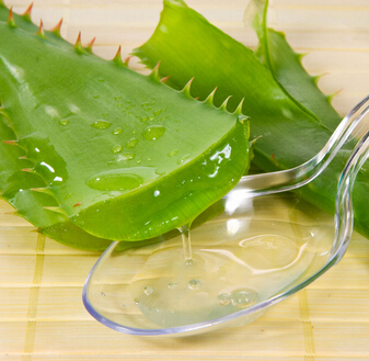 芦荟胶的用法 芦荟胶的功效与作用