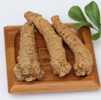 三七粉在本草纲目中记载 能治一切血病