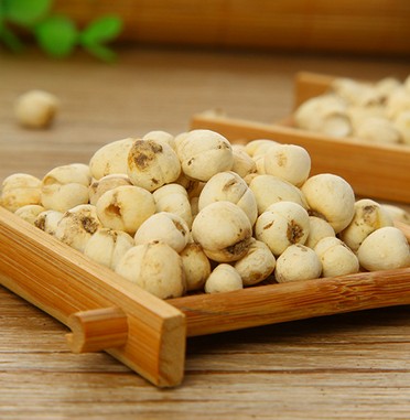 川贝的功能主治与药理作用有哪些