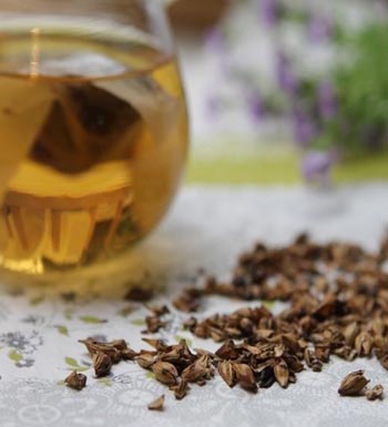 大麦茶怎么泡  大麦茶泡水喝对身体有什么好处