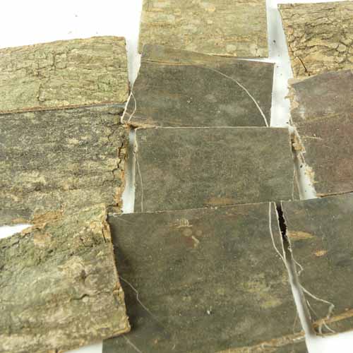 盐杜仲怎么炮制 盐杜仲的功效与作用及禁忌