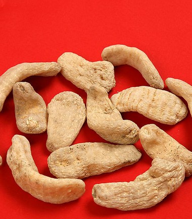 名贵的中药天麻 中药材天麻有什么作用