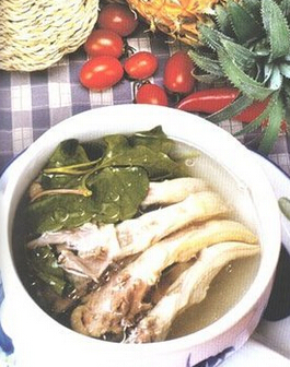 鱼腥草食疗养生 鱼腥草药食疗两用