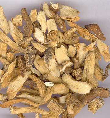 玉竹的功效与作用 玉竹的功效与作用有哪些呢