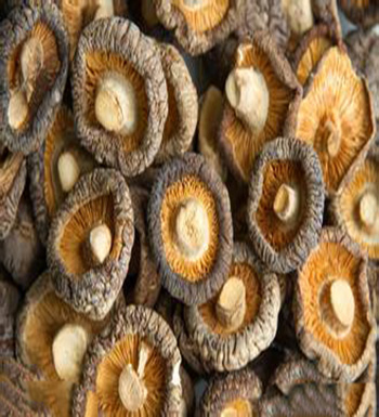 香菇的营养价值  香菇的功效与作用