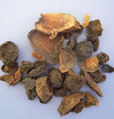 中药川乌的炮制品制川乌 它的功效和药理作用