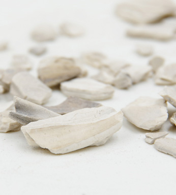 海蛤壳的功效特点 海蛤壳的药方及配伍应用