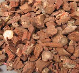 食用丹参的好处 丹参片的功效及食疗价值