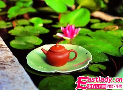 哪些茶有减肥瘦腰效果