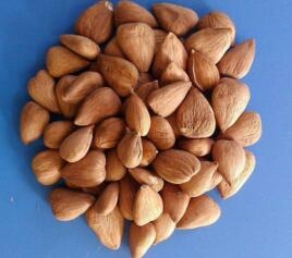 吃不胖的零食，这八种零食可以放心大胆的吃