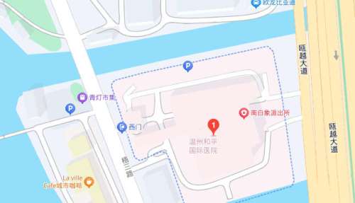温州和平国际医院 温州和平国际医院