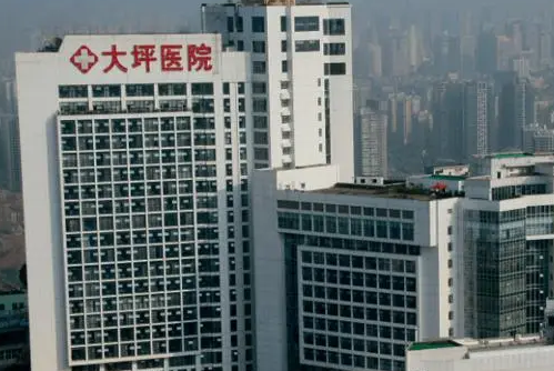 vx截图_20230912135326.png