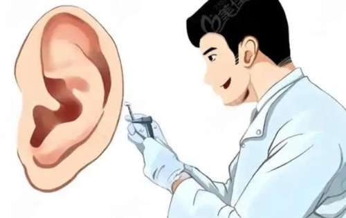 耳朵再造