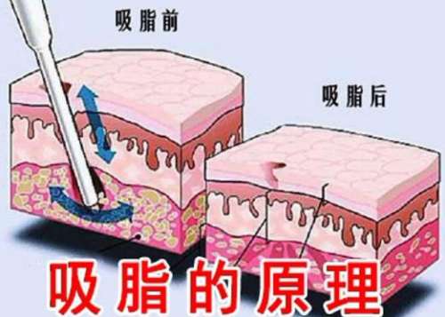 微信截图_20221221182450.jpg
