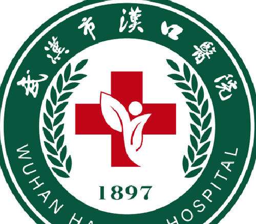 武汉市汉口医院 武汉市汉口医院