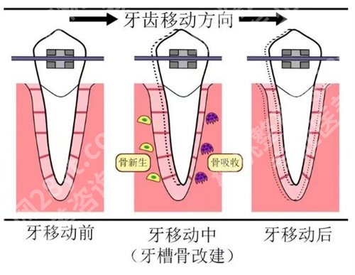 上海仁济医院口腔科医生名单,医院简介,推荐项目