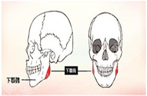杨浦区中心医院磨骨多少钱？医院详情介绍