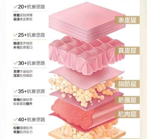 除皱3.jpg