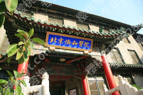 北京做小耳畸形专业的医院有哪些？协和\中日友好\友谊等，口碑前五介绍！