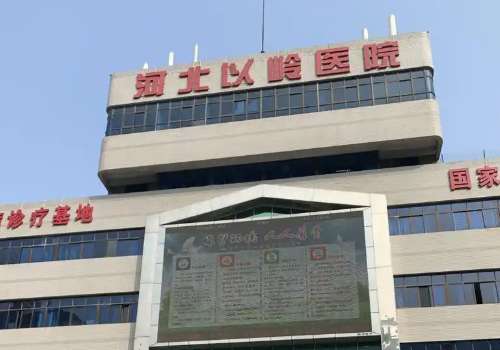 河北以岭医院.jpg