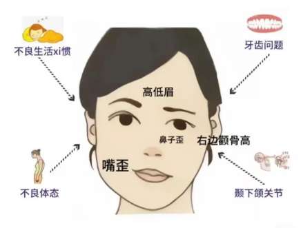 改脸型