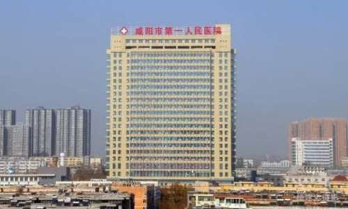 vx截图_20241031190822.jpg